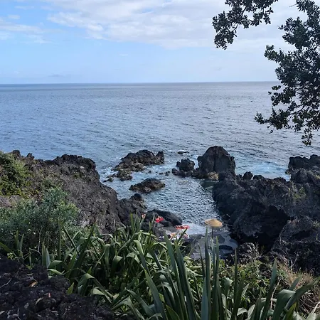 Vakantiehuis Casa De Sao Joao (Pico Island)