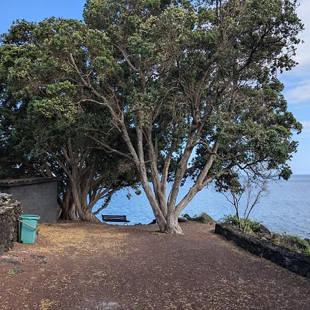 Casa De * Sao Joao (Pico Island)